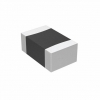 B57620C5102K062 Image